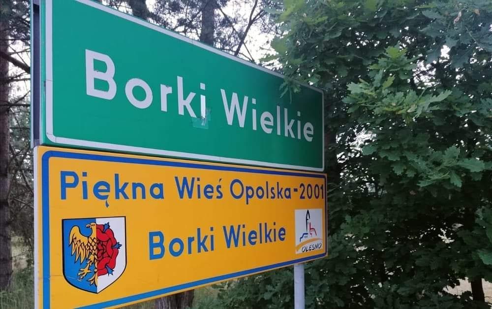 Osrodek Agroturystyczny Borki Borki Wielkie المظهر الخارجي الصورة